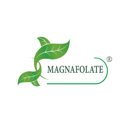 Що таке Magnafolate®? Фолієва кислота проти фолієвої кислоти, яка різниця?