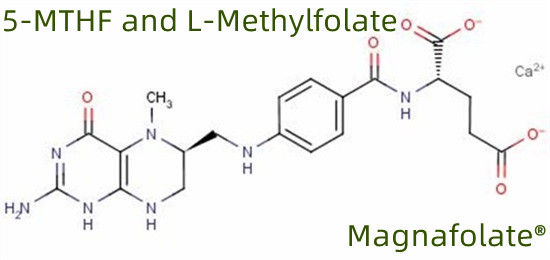 5-MTHF і L-метилфолат