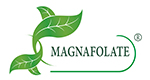 Magnafolate® VS фолієва кислота