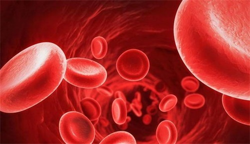 Порушення метаболізму фолієвої кислоти, що нам робити